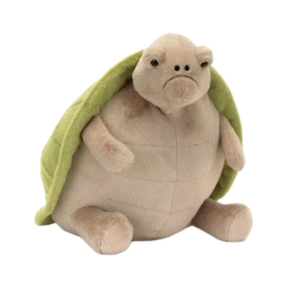 Timmy Turtle