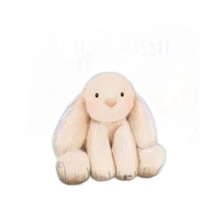 Smudge Rabbit and the Falling Star Book