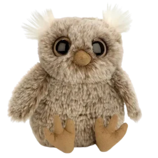 Nocturne Owl