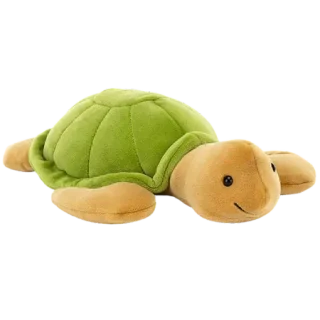 CeeCee Turtle