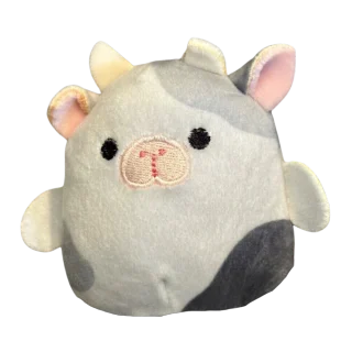 Coda