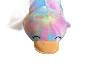 Oribin