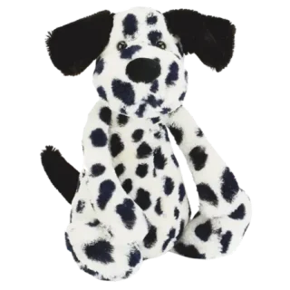 Bashful Dalmatian