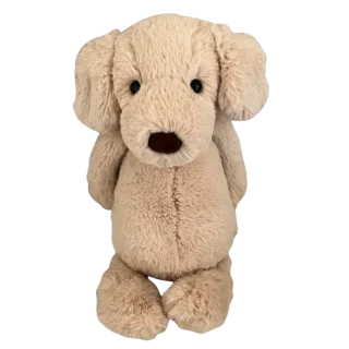 Bashful Labrador