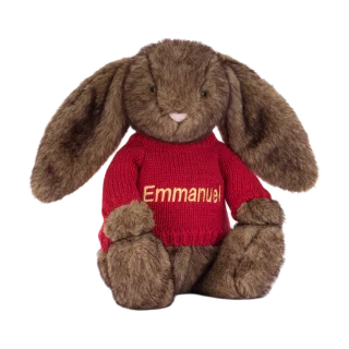 Hoppleston Luxe Bunny with Personalised Red Jumper