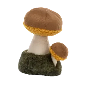 Wild Nature Boletus Mushroom