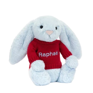 Bashful Blue Bunny with Personalised Red Jumper
