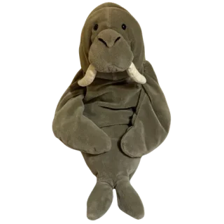 Wrinkles Walrus