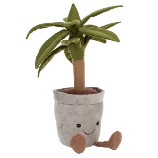 Amuseable Dragon Tree
