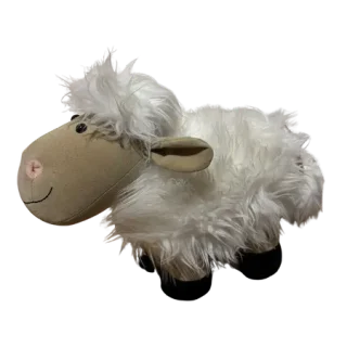 Shaggy Sheep