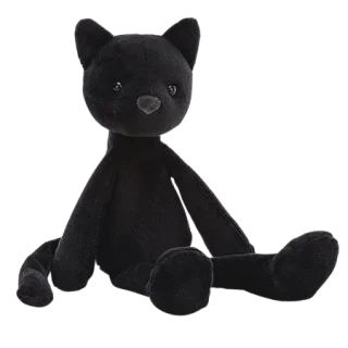 Bewitching Cat