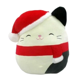 Cam (Santa Hat)