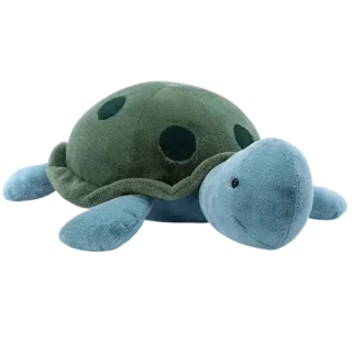 Big Spottie Turtle
