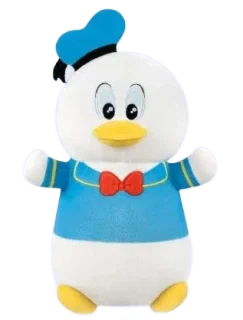 Donald Hug Mees