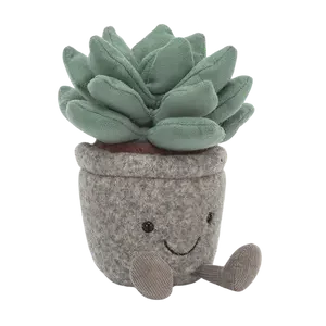 Silly Succulent Azulita